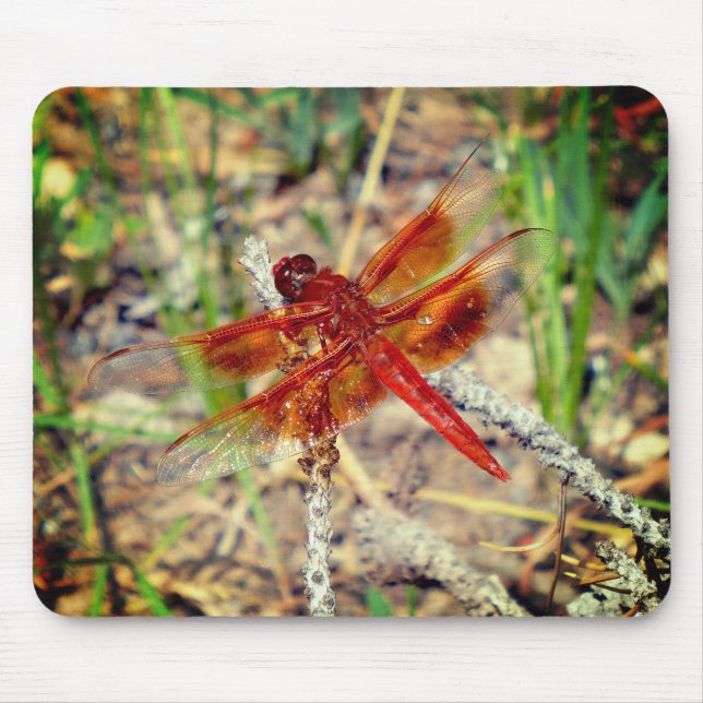 Tapis De Souris Dragonfly Orange (Devant)