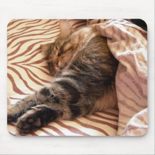 Tapis De Souris Dreaming of the veldt