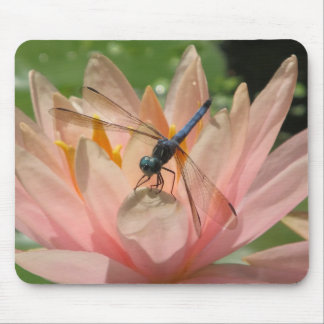 Tapis De Souris Drgonfly sur le nénuphar