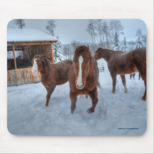 Tapis De Souris Drôle Amorous Stallion et Chevaux de jument