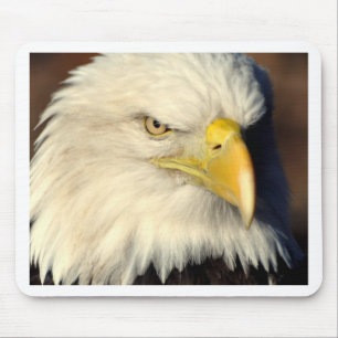 TAPIS DE SOURIS DSC_7279