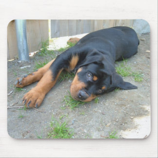 TAPIS DE SOURIS DSCF0140