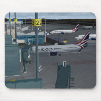 Tapis de souris du R-U de mouche