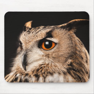 Tapis De Souris Duc d'Eurasien