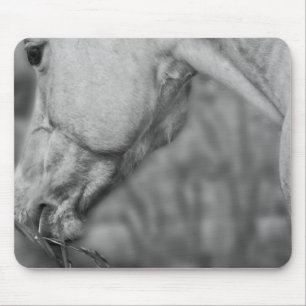 Tapis De Souris Dun Légèrement Dun Dapples - Mousepad
