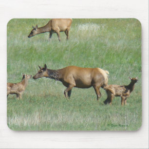 Tapis De Souris E3 Elk de vache et jeunes