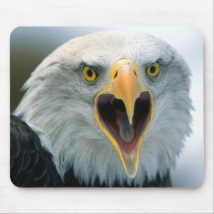 Tapis De Souris Eagle chauve #2-Mousepad