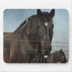 Tapis De Souris Ébauche de chevaux dans un pâturage