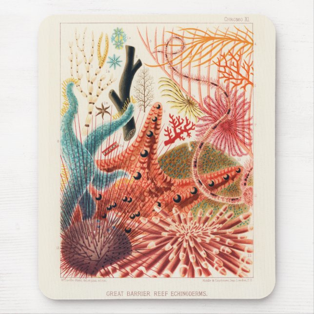 Tapis De Souris Echinodermes australiens de la Grande Barrière de  (Devant)
