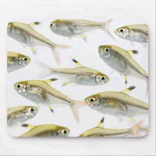 Tapis De Souris École de radiographie du tétra-poisson (Pristella