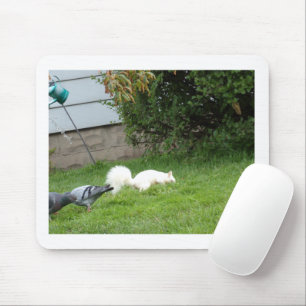 Tapis de souris écureuil albinos et pigeons