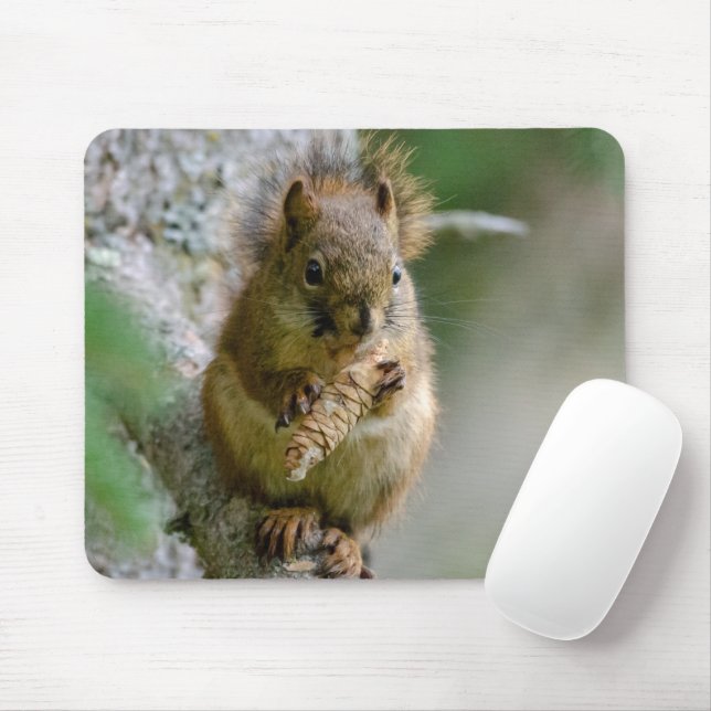 Tapis De Souris Écureuil Brown entre les branches - Faune canadien (Avec souris)
