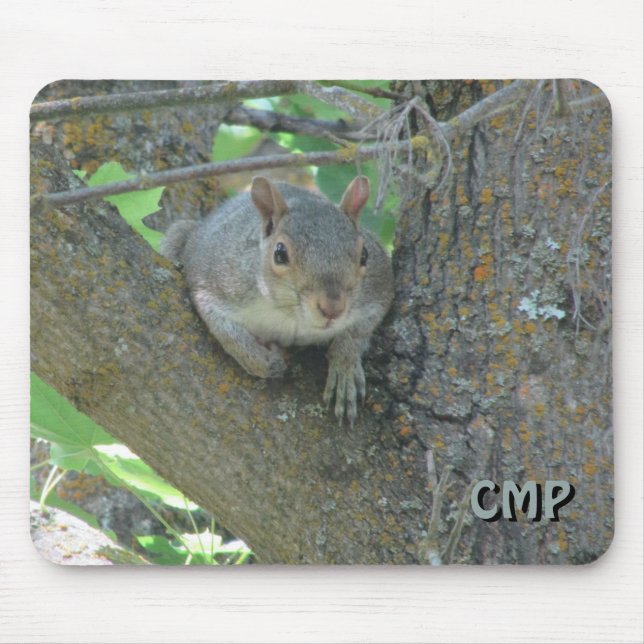 Tapis De Souris Écureuil curieux dans l'arbre avec vos initiales (Devant)