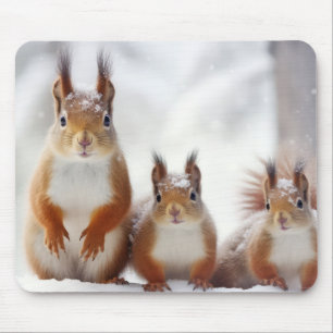 Tapis De Souris Écureuil Famille d'animaux errants Nature