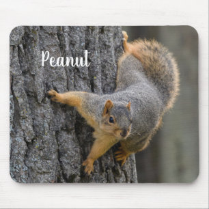 Tapis De Souris Écureuil renard personnalisé sur un arbre