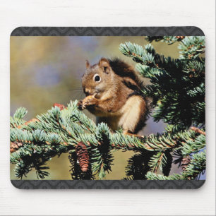 Tapis De Souris Écureuil rouge