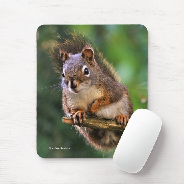 Tapis De Souris Écureuil rouge souillé dans le sapin (Avec souris)