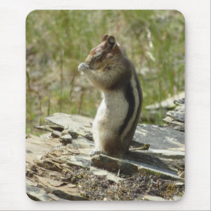 Tapis De Souris Écureuil terrestre à manteau doré à Glacier I