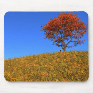 Tapis De Souris Effacer la journée d'automne Mousepad