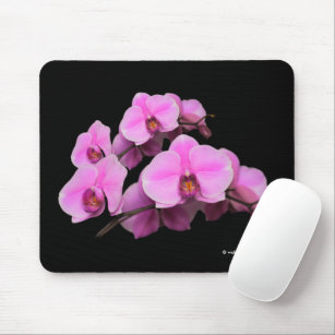 Tapis De Souris Elegant Pink Orchids Phalaenopsis Flowers on Black
