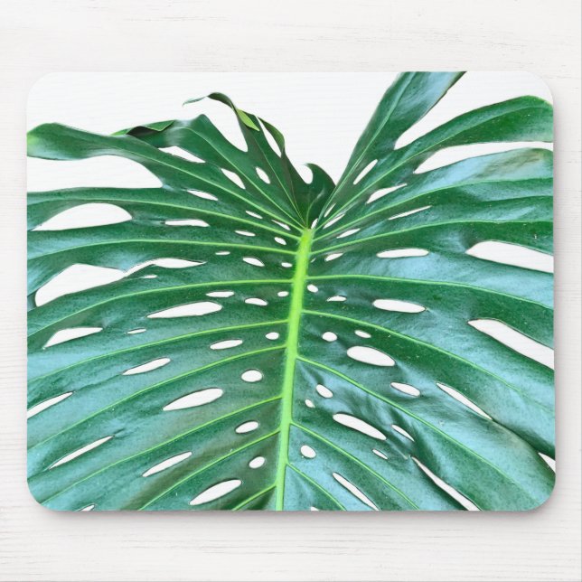 Tapis De Souris Elégante feuille de palmier tropicale jungle tropi (Devant)