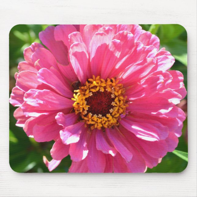 Tapis De Souris Elégante marguerite rose rose rétro (Devant)