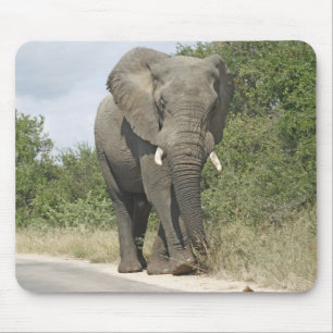 Tapis De Souris Éléphant
