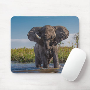 Tapis De Souris Eléphant