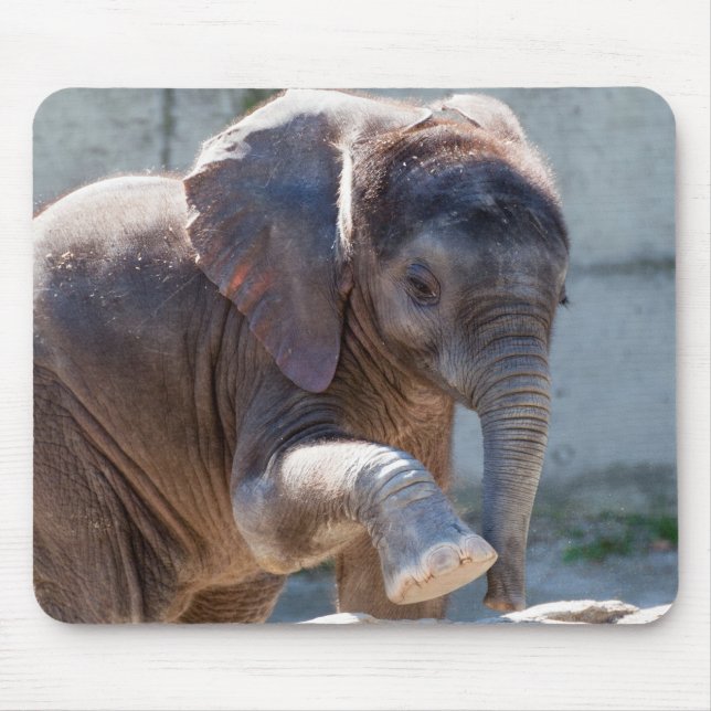 Tapis De Souris Eléphant bébé (Devant)
