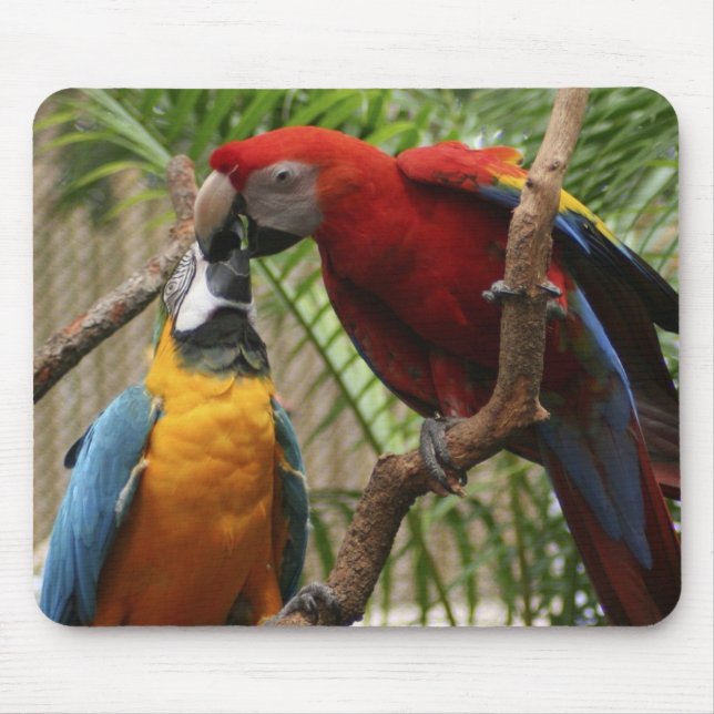 Tapis De Souris Embrasser Macaws (Devant)
