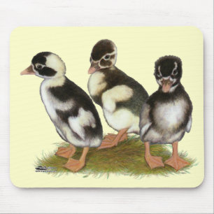 Tapis De Souris Émery Penciled Runner Ducklings