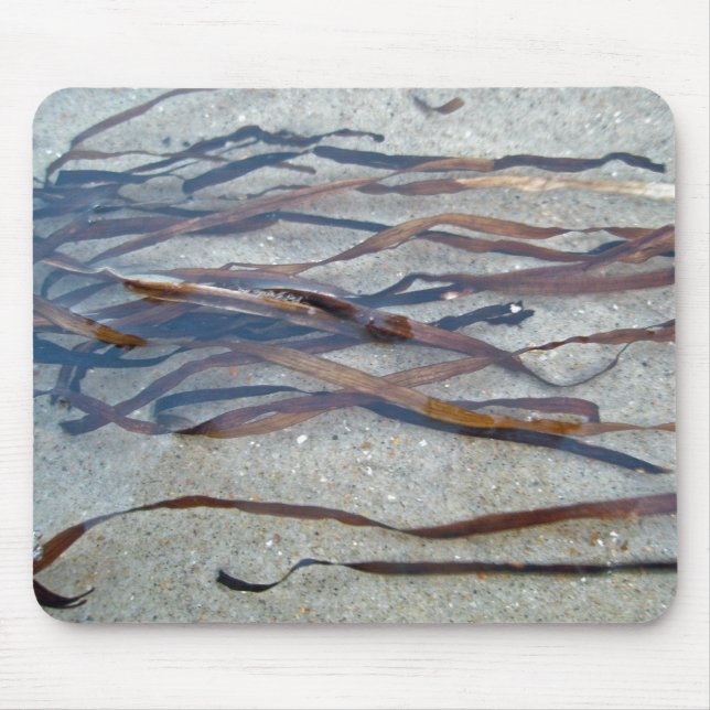 Tapis de souris en algue de Zostère (Devant)