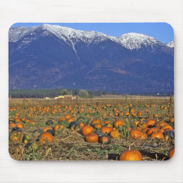 Tapis De Souris Endroit Citrouille de Flathead Valley Montana (Devant)