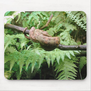 Tapis De Souris Enveloppe de serpent de forêt tropicale - mousepa