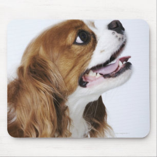 Tapis De Souris Épagneul cavalier du Roi Charles, vue de côté