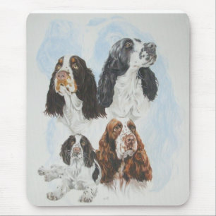 Tapis De Souris Épagneul de springer anglais