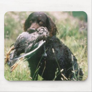 Tapis De Souris Épagneul d'eau américaine Mousepad