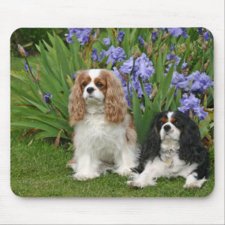 Tapis De Souris Épagneuls cavaliers du Roi Charles dans le jardin