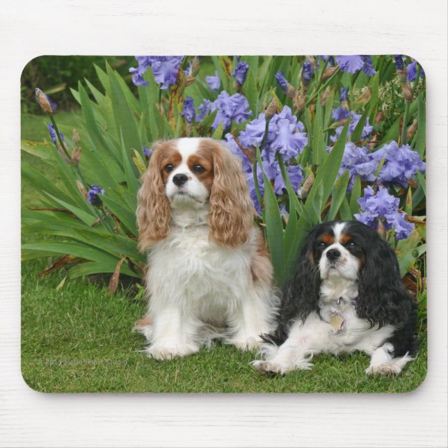 Tapis De Souris Épagneuls cavaliers du Roi Charles dans le jardin (Devant)