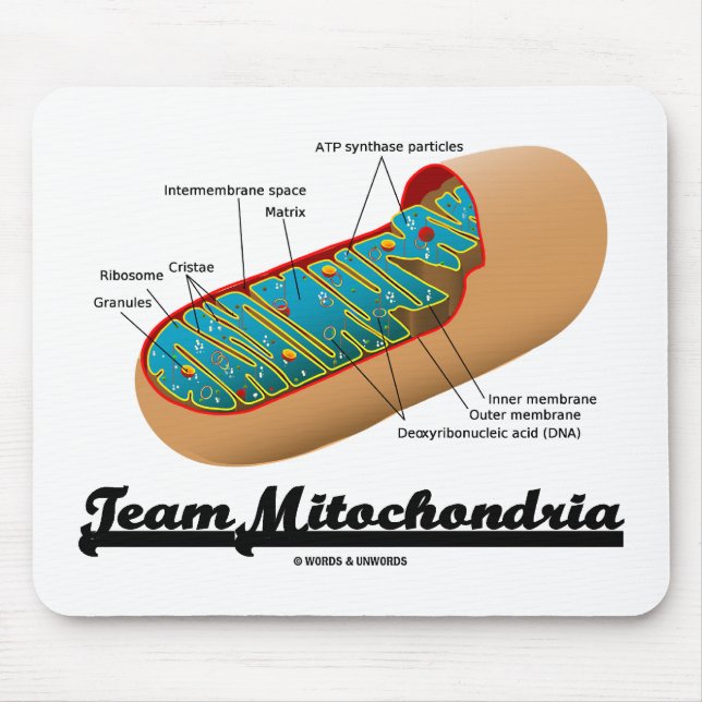 Tapis De Souris Équipe Mitochondria Mitochondrion Humour (Devant)