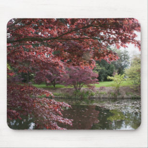 Tapis De Souris Érables japonais dans le jardin botanique Van Duse