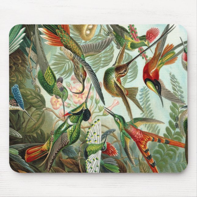 Tapis De Souris Ernst Haeckel Art Imprimer : Trochilidae (Devant)