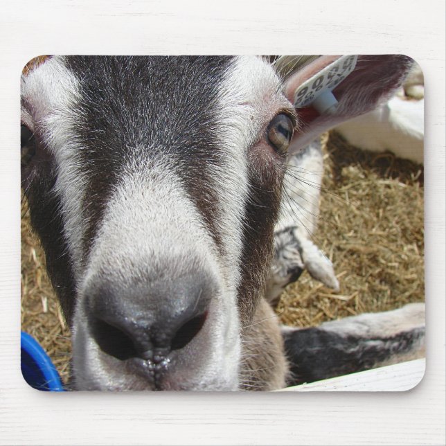 Tapis De Souris Est-Ce De La Nourriture De Caméra ? (Devant)