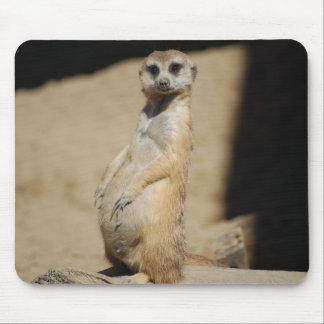 Tapis De Souris Est-ce que je semble gros ?