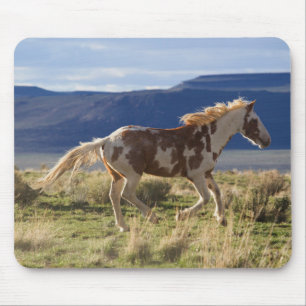 Tapis De Souris Étalon courant, montagnes de Steens, Oregon
