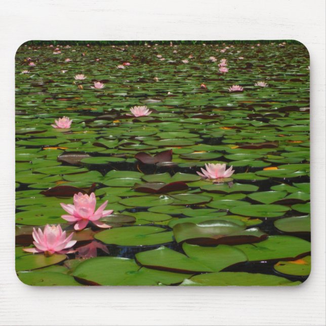 Tapis De Souris Etang de fleurs de lys d'eau rose (Devant)