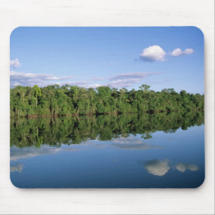 Tapis De Souris État du Mato Grosso, Amazonie, Brésil. Forêt