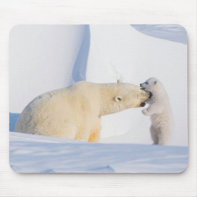 Tapis De Souris États-Unis, Alaska, North Slope | Ours polaires (Devant)