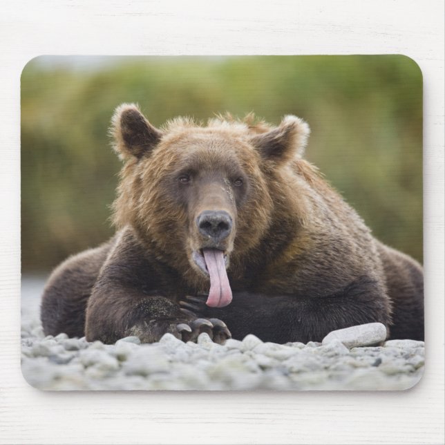 Tapis De Souris États-Unis, Alaska, Parc national de Katmai, baie  (Devant)