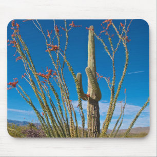 Tapis De Souris États-Unis, Arizona. Cactus dans le parc national 